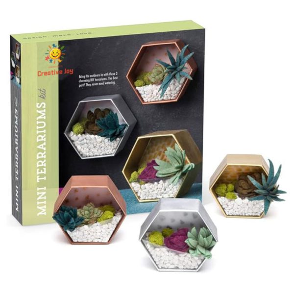 Mini terrariums kit - Image 2