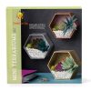 Mini terrariums kit