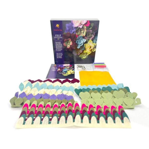 Felt succulent kit - Image 2