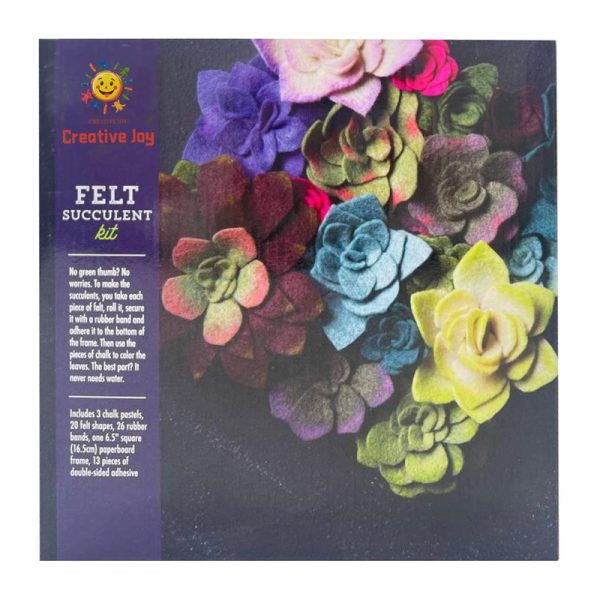Felt succulent kit