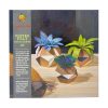 Potted felt succulents