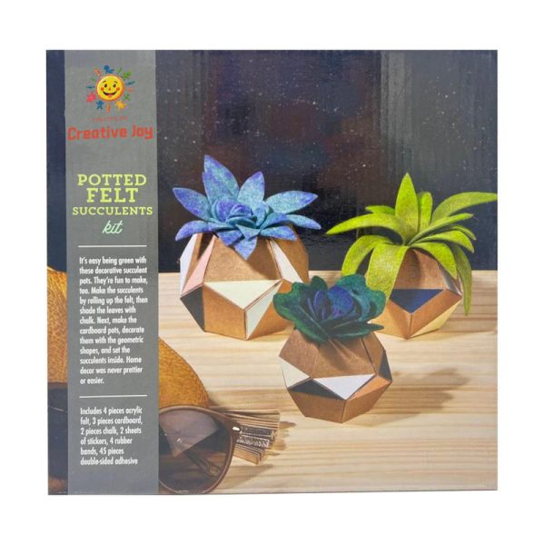 Potted felt succulents